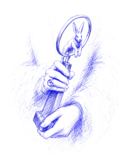 ghostly white rabbit film award